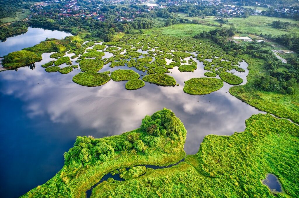 Aerial view of a lush wetland landscape with irregular green vegetation islands surrounded by calm water, reflecting the sky, with rural settlements and farmland visible in the background—illustrating a natural ecosystem shaped by water dynamics and rich biodiversity.